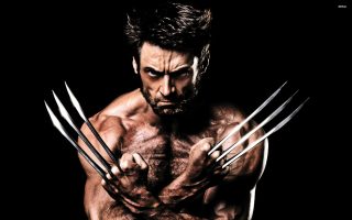 Wolverine dieet