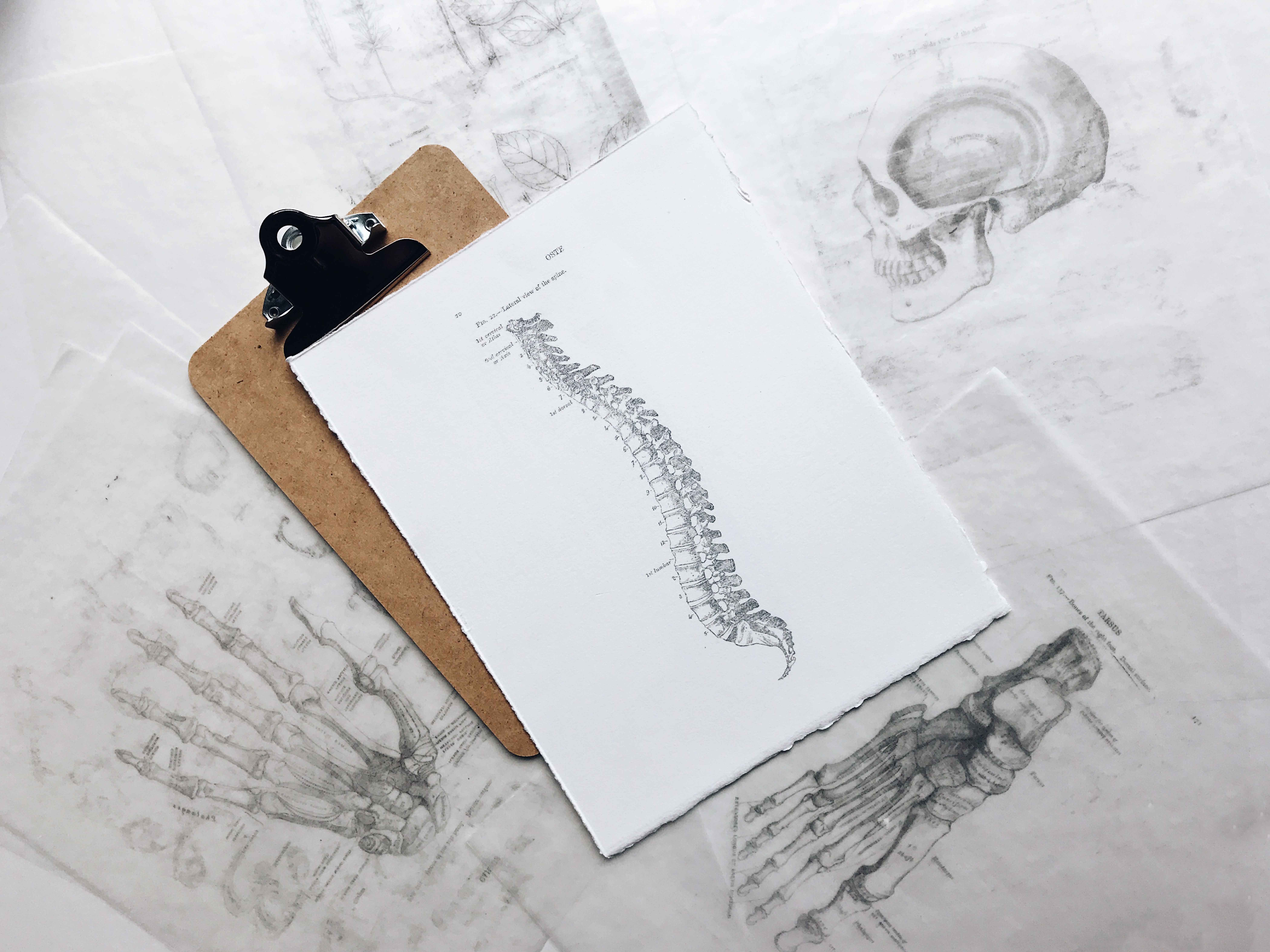 Peesblessures: oorzaak, behandeling en herstel