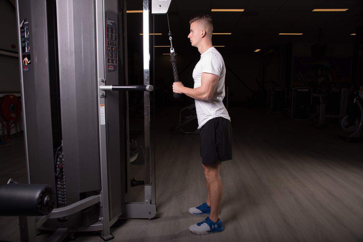 Cable Tricep Pushdown