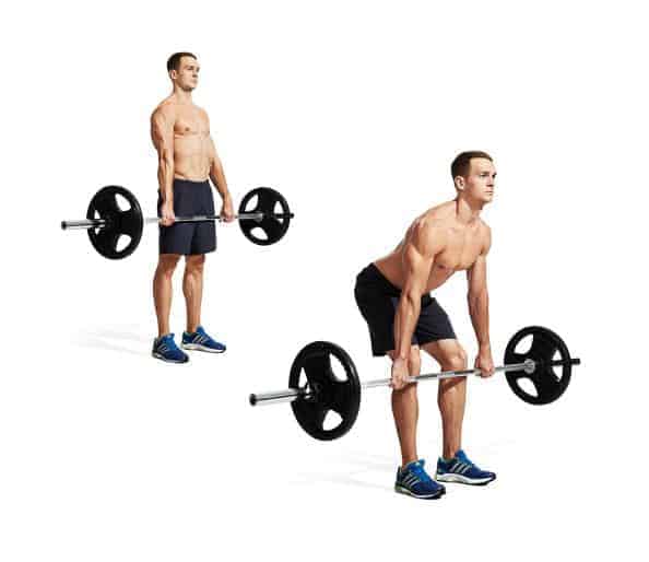 Romanian Barbell Deadlift