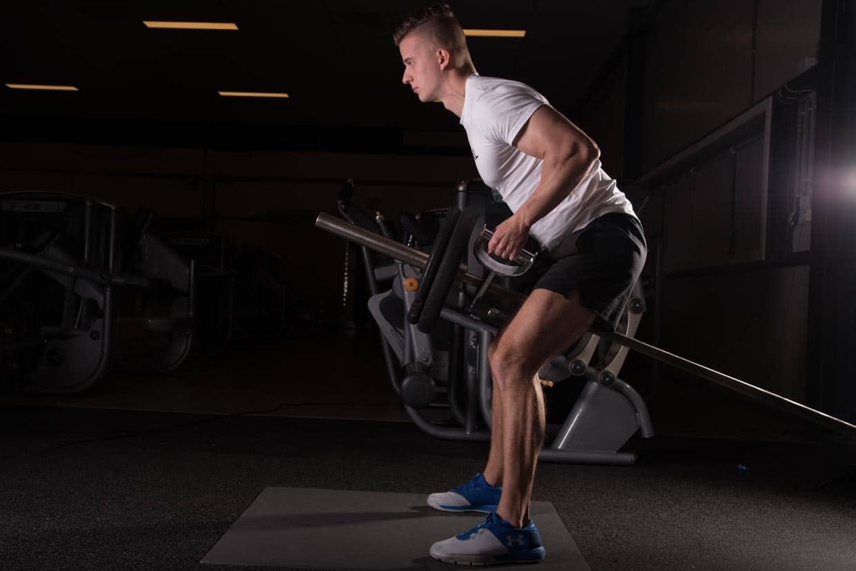 Lever T-bar Row