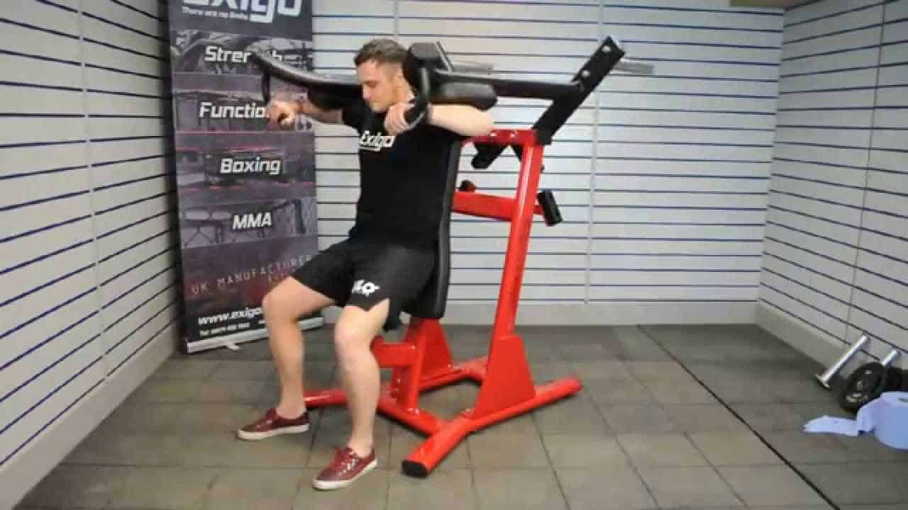 Lever Lateral Raise (plate loaded)