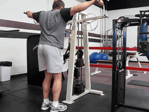 Lever Extended Arm Lateral Raise