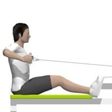 Cable Rear Delt Row