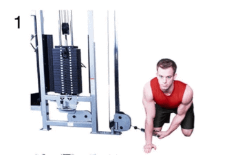 Cable Rear Lateral Raise
