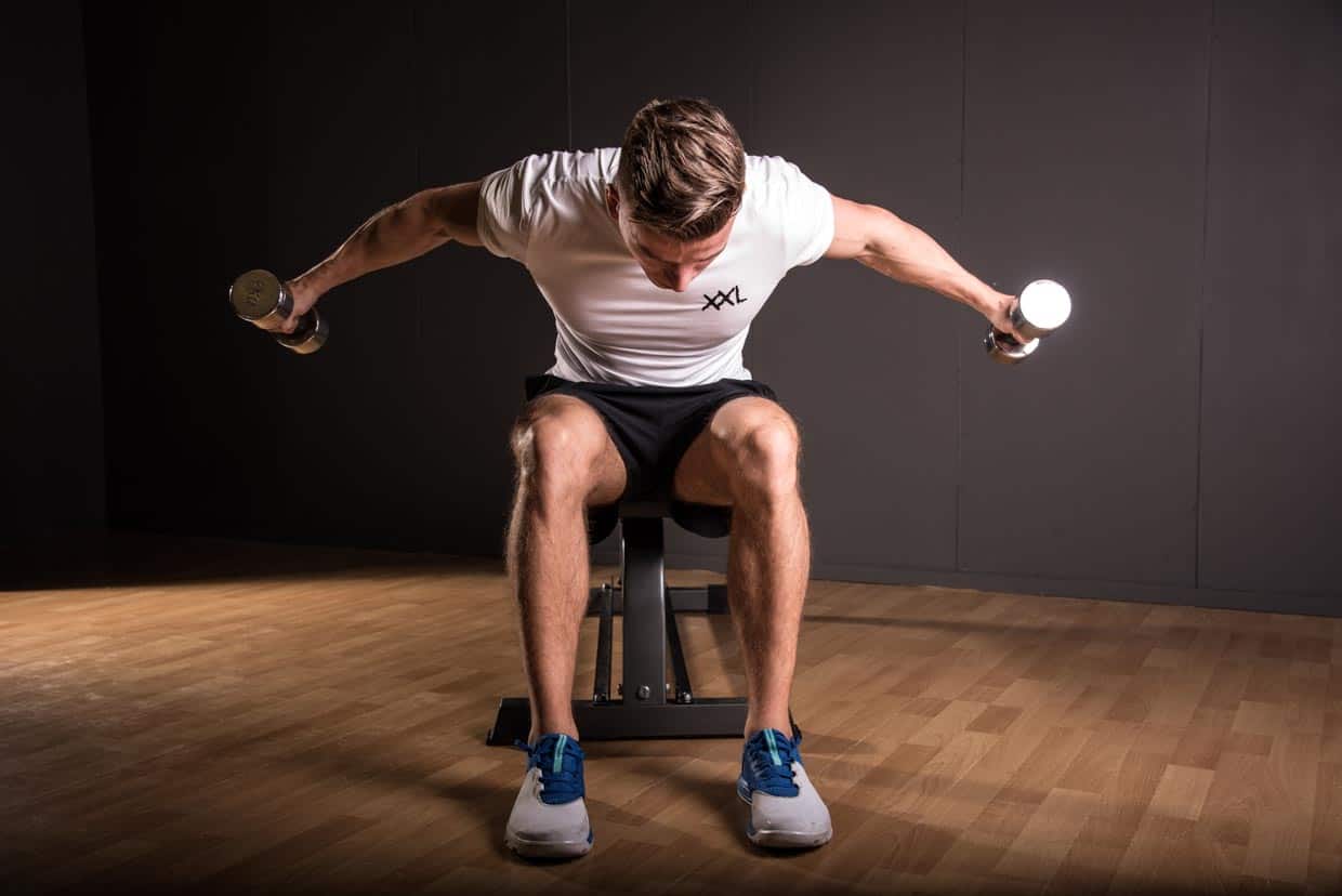 Seated Bent over dumbbell side raise