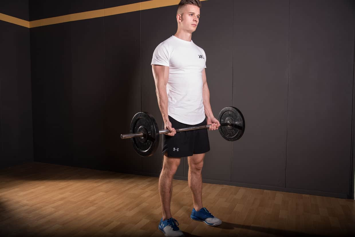 Biceps Curl EZ Bar