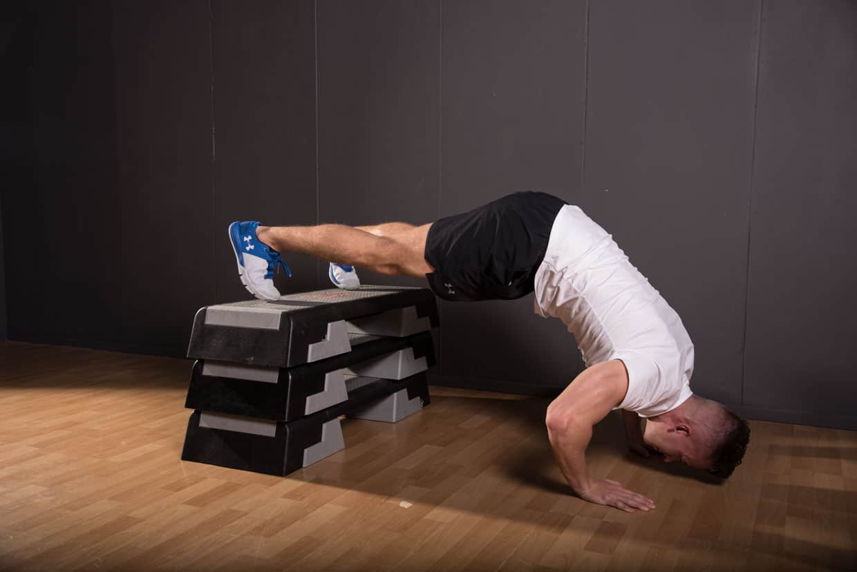 Decline Pike Press