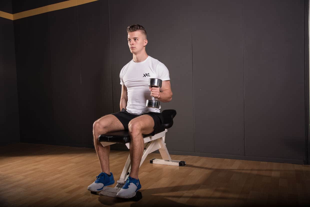 Sitting hammer curl