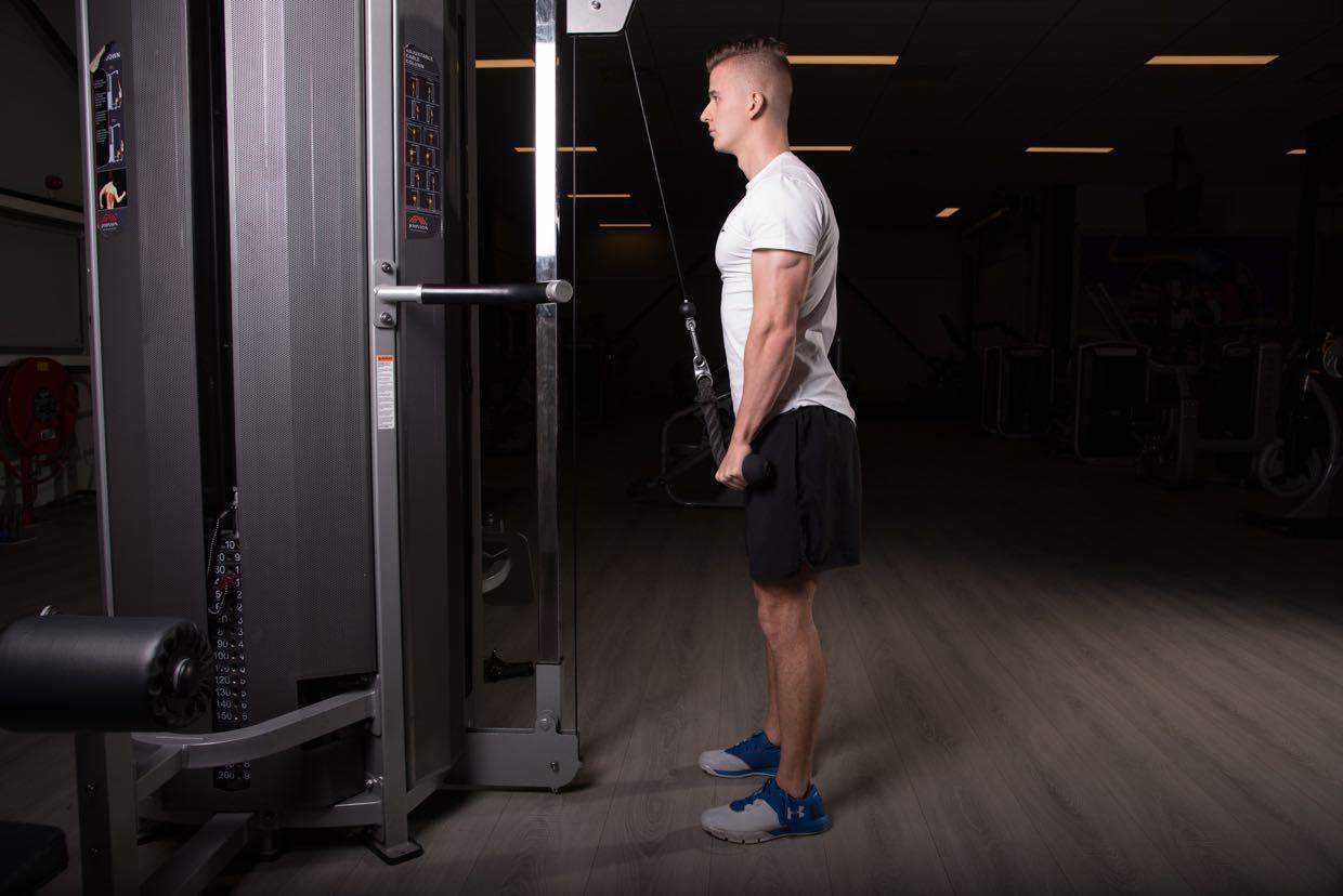 Cable Tricep Pushdown