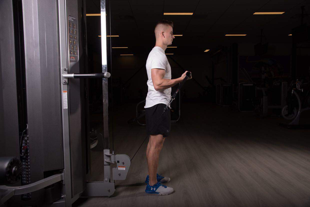Cable one arm biceps curl