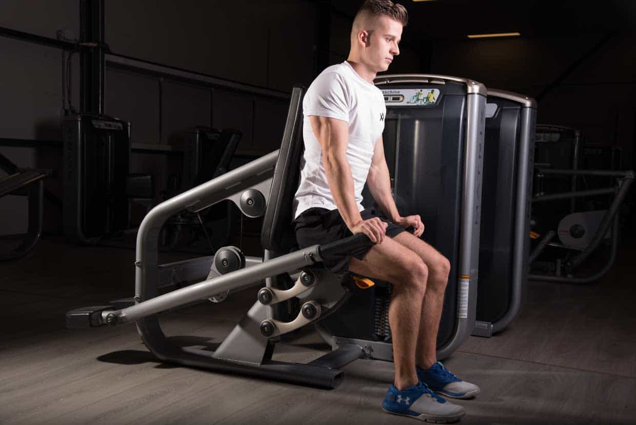 Seated Dip Machine