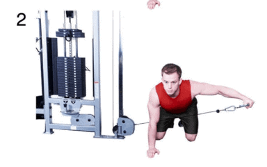 Cable Rear Lateral Raise