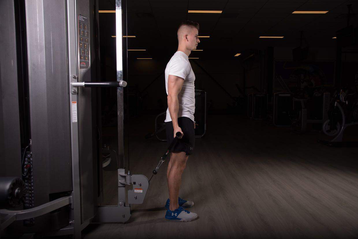 Bayesian biceps curl